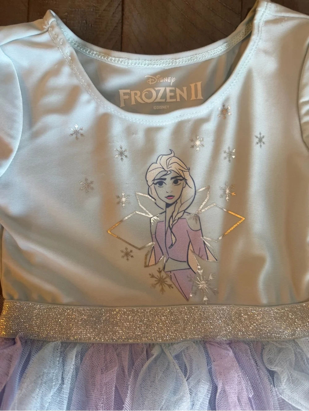 Disney Elsa Light Blue and Lavender Tulle Dress